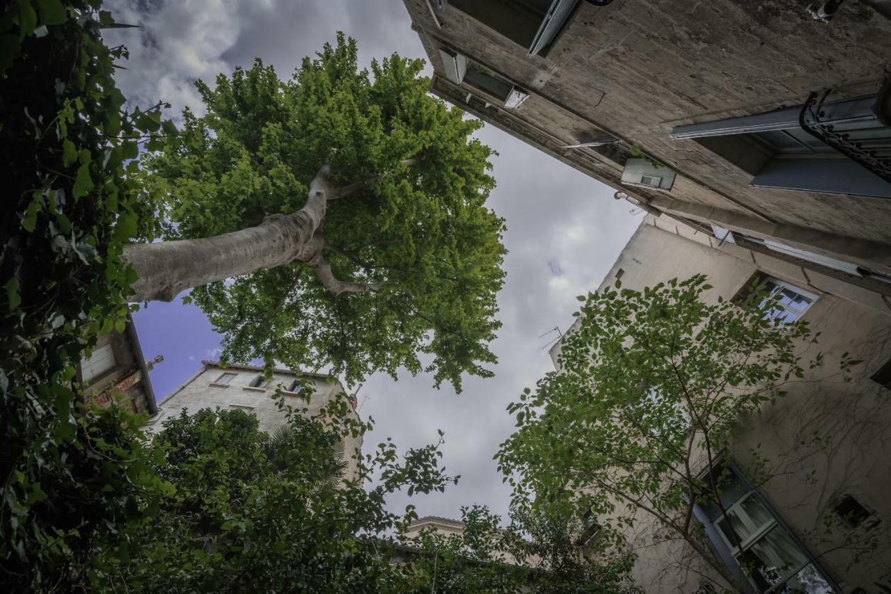 Apartament Les Jardins De L'Ecusson - Premiere Conciergerie Montpellier Zewnętrze zdjęcie