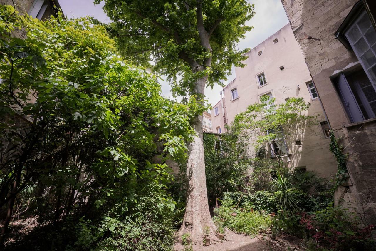 Apartament Les Jardins De L'Ecusson - Premiere Conciergerie Montpellier Zewnętrze zdjęcie